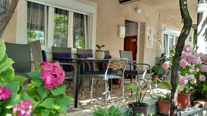 Appartement Apartman Paulina à Selce Extérieur photo